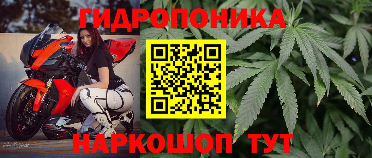 МАРИХУАНА план  Вход с VPN  Канабис планчик  Шишки марихуана MAZAR  Клинцы 